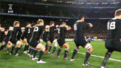 Which team should you really support during the Cathay Pacific Hong Kong Rugby 7s? Take this quiz and find out today!