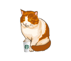 What Ugly Sweater should you wear based on your Starbucks coffee? Take this quiz and find out today!