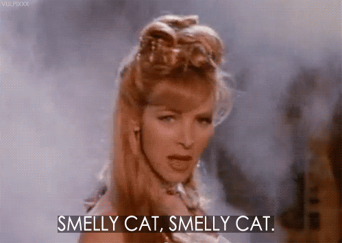 Which friend from F.R.I.E.N.D.S. should be your roommate? Take this quiz and find out today!