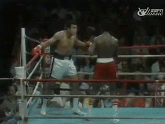Float Like A Butterfly, Sting Like A Bee... Which Muhammad Ali Quote Should Be Your Motto? Take this quiz and find out today!