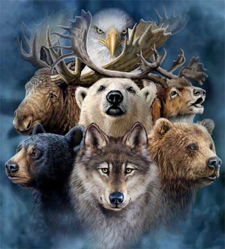 We all have a primal instinct and sometimes we feel overwhelmed by an unknown spiritual force... Usually that's our spirit animal trying to escape from the shackles that society has put on us! Find out what your spirit animal is today!