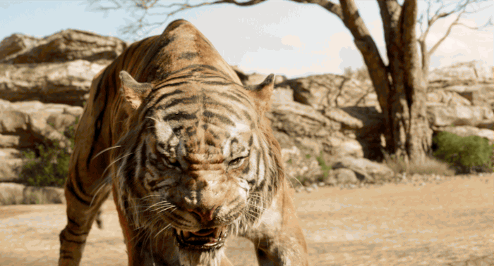 Which Character from Disney's The Jungle Book are You? take this quiz and find out today!