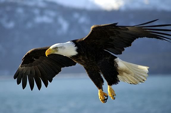 What Sport Would You Compete In During The Rio 2016 Summer Olympics? Take this quiz and find out today!