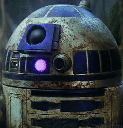 Are you more like Princess Leia or General Leia Organa? take this quiz and find out today!