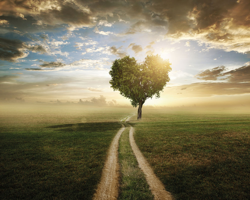 Curious about how you really feel about love? Take this quiz and find out today!