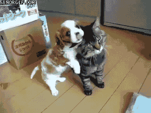 Take this ADORABLE quiz, it might surprise you!