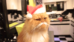 What Christmas song should you listen to right now? take this quiz and find out today!