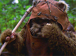 Think you have what it takes to be a Jedi? Use the Force to answer these questions to the Jedi Academy Entrance Exam.