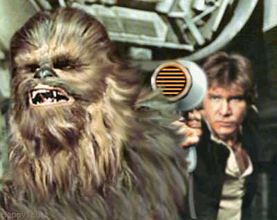 Are you more like Princess Leia or General Leia Organa? take this quiz and find out today!
