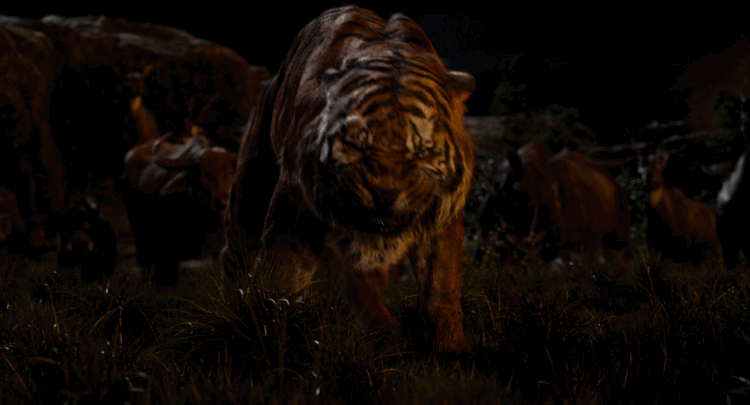 Which Character from Disney's The Jungle Book are You? take this quiz and find out today!
