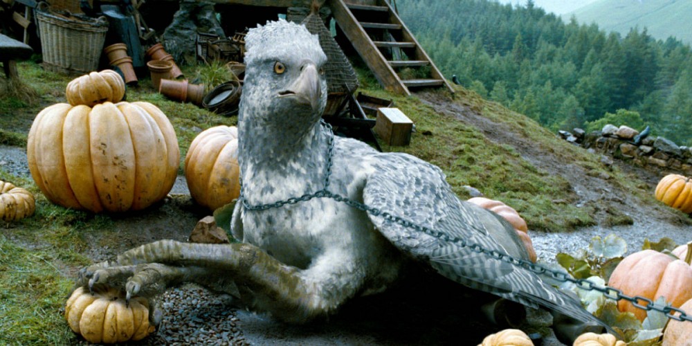 Which 'Fantastic Beasts And Where To Find Them Character' Are You? Take this quiz and find out today!