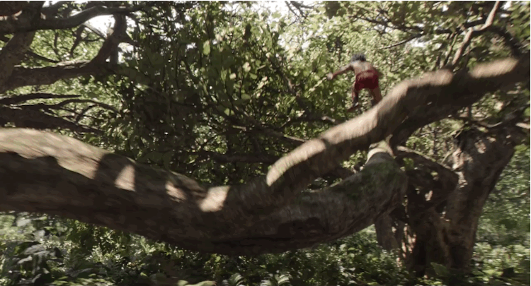 Which Character from Disney's The Jungle Book are You? take this quiz and find out today!