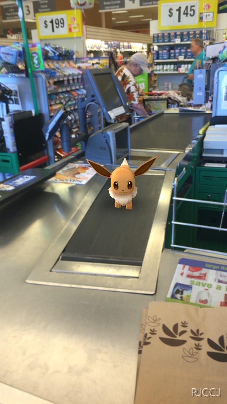 What Best Selling Book Of 2016 Should You Read Based On Your Favorite Pokemon GO Character? Take this quiz and find out today!