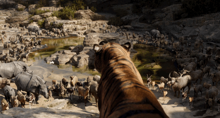 Which Character from Disney's The Jungle Book are You? take this quiz and find out today!