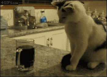 What percentage of your blood is actually pure coffee? Take this quiz and find out today!