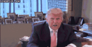 Like the genetic result of mating a golden marmoset with an old grey donkey, Donald Trump's hair is both intriguing and mysterious. Take this quiz to find the answer to that eternal question that has stumped philosophers for decades. Which Donald Trump Hair Are You Really?