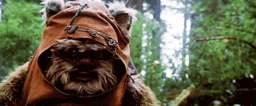 Do you really think you have what it takes to be labeled a TRUE HARDCORE obscure trivia Star Wars fan? Take this quiz and find out today!
