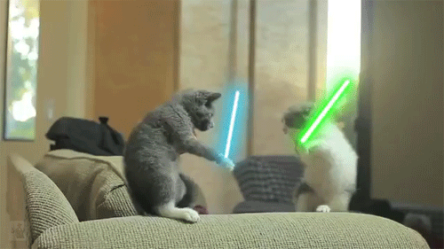Which famously epic Star Wars Battle do you actually belong in? take this quiz and find out today!