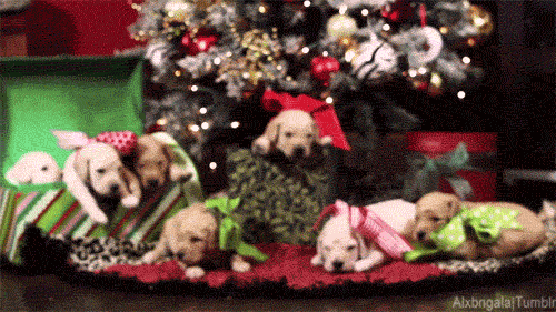 What Christmas song should you listen to right now? take this quiz and find out today!