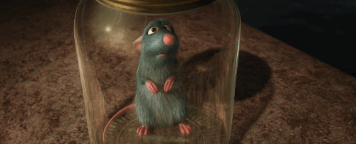 Which Disney Couple Are You And Your Future Love? Take this quiz and find out today!