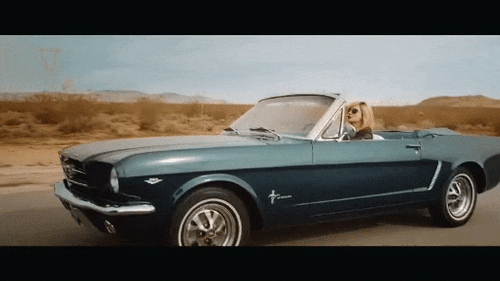 Which James Corden Carpool Karaoke should you join? Take this quiz and find out today!