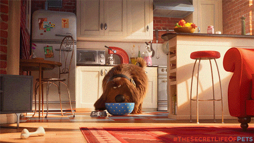 Which The Secret life Of Pets Character Are You? Take this quiz and find out today!