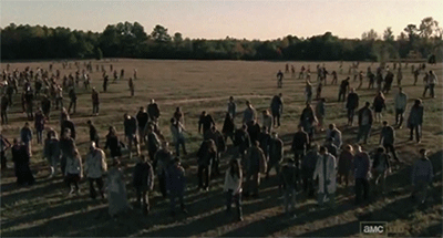Which survivor from The Walking Dead are you? Take this quiz and find out today!