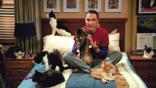 Here's a kitty, there's a kitty, and another little kitty, fuzzy kitty, funny kitty, kitty, kitty, MOM!