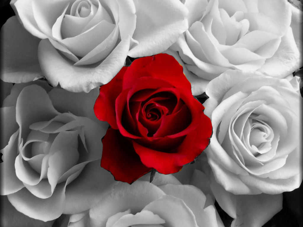Curious about how you really feel about love? Take this quiz and find out today!