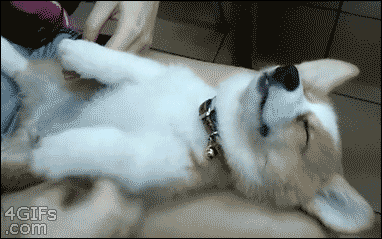 How much sleep does your Zodiac sign actually need? Take this quiz and find out today!
