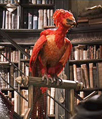 Which 'Fantastic Beasts And Where To Find Them Character' Are You? Take this quiz and find out today!