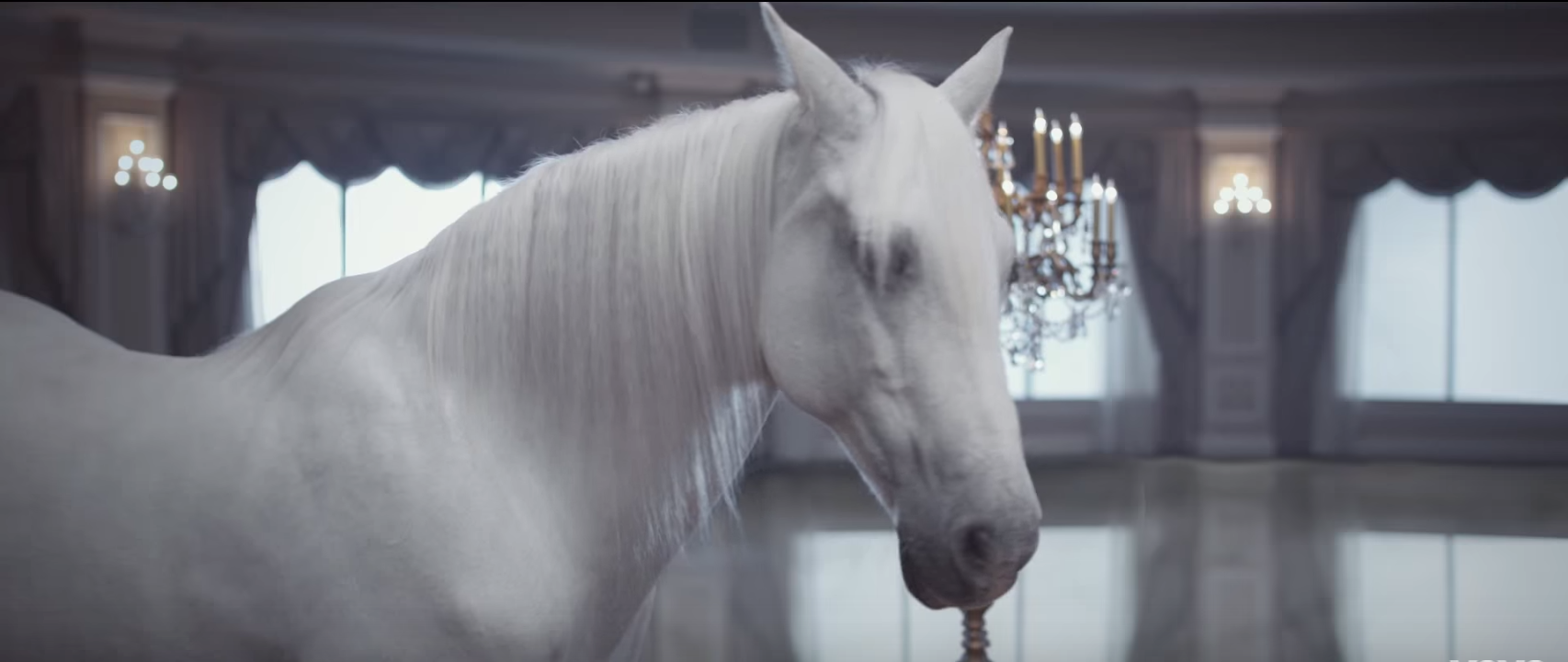 Can You Guess The Taylor Swift Song From The Music Video Still? Take this quiz and find out today!