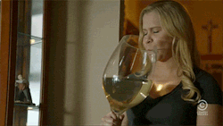 Which Inside Amy Schumer Character are you? Take this quiz and find out today!