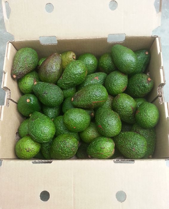 One of the most frustrating things in life is when you think you buy a good avocado. You bring it home and open it up to find that it's actually rock hard or mush, brown and rotten. What a disappointment. Test your avocado picking skills here!