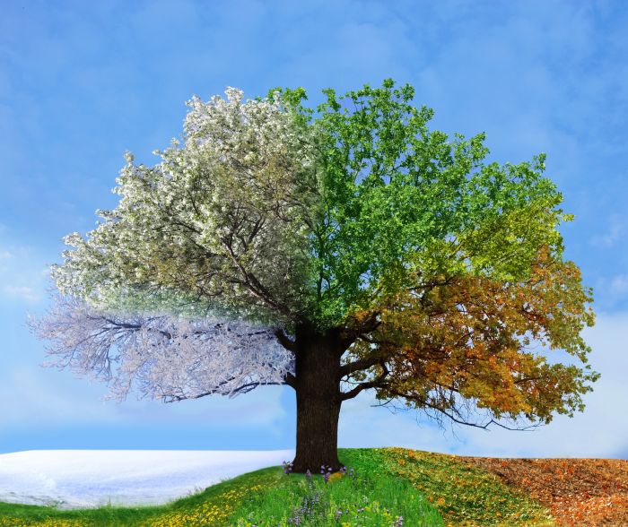 In Astrology, the signs are grouped into four earth elements: Earth, Air, Water and Fire, to give you even more insight to your zodiac sign. Find out which earth element you are and learn about what drives you.