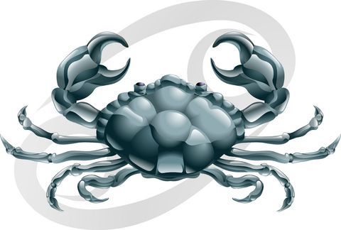 Where In Hong Kong should you live in based on your Zodiac sign?