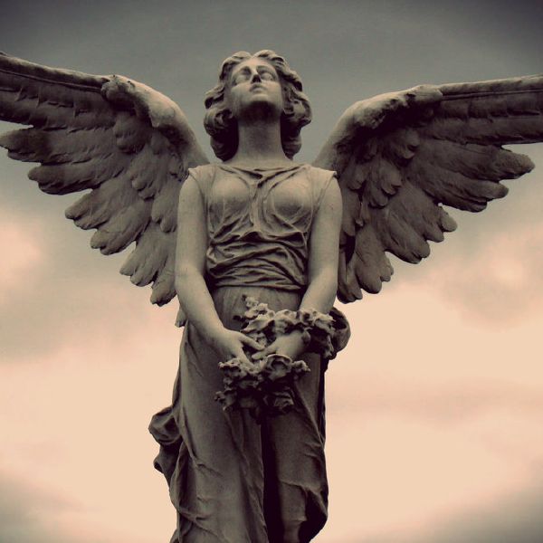 We all have a primal instinct and sometimes we feel overwhelmed by an unknown spiritual force... Usually that's our spirit animal trying to escape from the shackles that society has put on us! Find out what your spirit animal is today!