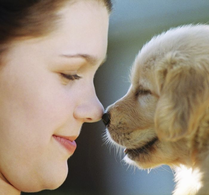 Alright, so you already have a dog, two cats, a budgie, a turtle and some fish… wondering what strange and wonderful animal you should get next? Take this quiz to find out: