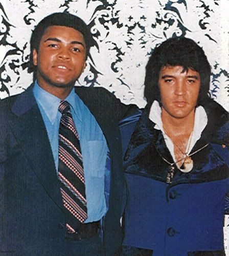 Float Like A Butterfly, Sting Like A Bee... Which Muhammad Ali Quote Should Be Your Motto? Take this quiz and find out today!