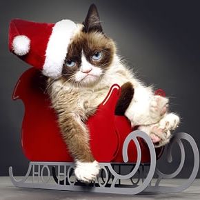 Do you think you’re a cat whisperer? Think you have a way with the kitties? Well not until you’ve encountered Grumpy Cat! Find out if you’d even have a chance being friends with this frowning feline.