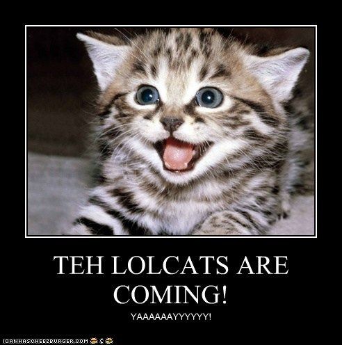 Do you know your LOLcats from your Star Wars Kids? <br />
Test your knowledge of some of the internet's most shared memes.