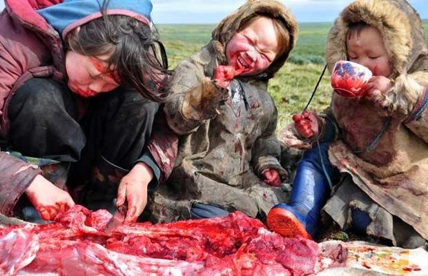 Are you vegetarian or vegan maybe? How about a straight up carnivore? Take the quiz and find out where you stand on the vegetarian scale.