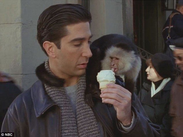 Which friend from F.R.I.E.N.D.S. should be your roommate? Take this quiz and find out today!
