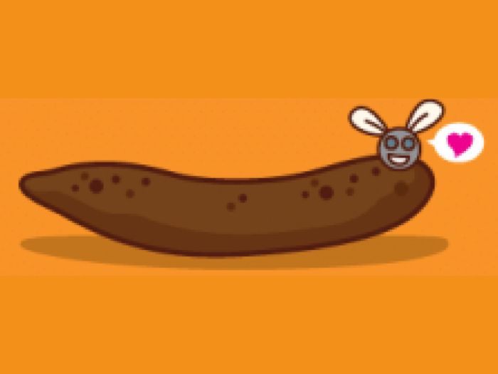 What does the texture of your poop tell you about your health? Take this quiz and find out today!