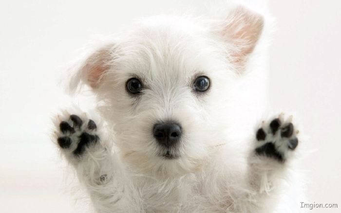 What kind of Old Person will you grow up to be? Take this quiz and find out today!
