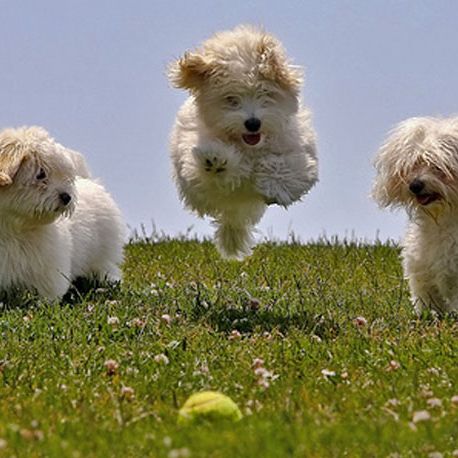 Take this ADORABLE quiz, it might surprise you!