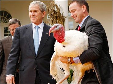 What lame joke should you tell everyone at the table during Thanksgiving dinner? Take this quiz and find out today!