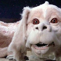 The golden age of action heroes happened during the decade of mullets, Reaganomics and Cabbage Patch Kids. Find out which iconic 80s action star you really are today!