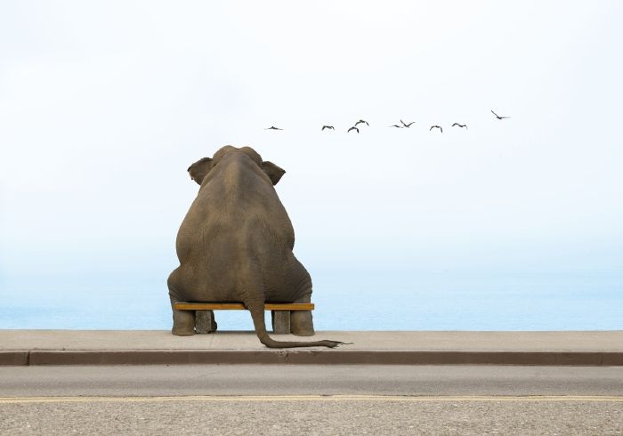 Think you’ve got a good head on your shoulders? Know what to do in most common life situations? Well think again. Take this quiz to find out how much common sense you really have!