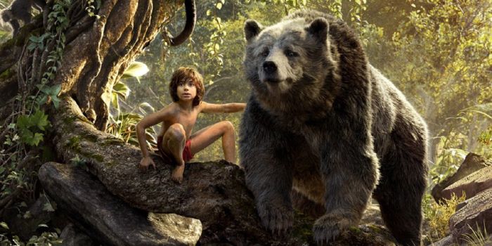 Which Character from Disney's The Jungle Book are You? take this quiz and find out today!